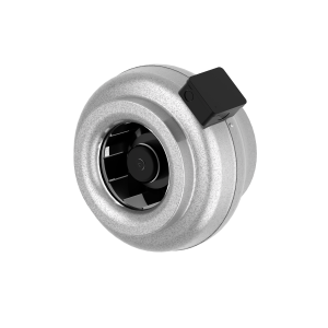 7000066_CK_250_B1_aut_tc.png